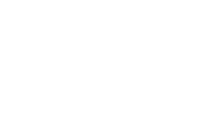 the candler