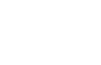 The Joule