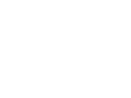 Ace Hotel New York